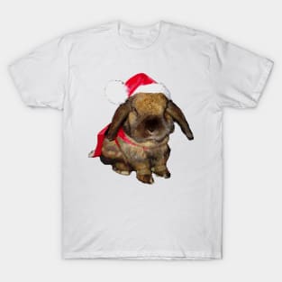 Holiday Rabbit Santa Claus T-Shirt